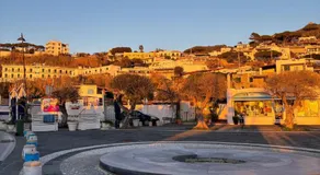 Appartamento a due passi dal mare Forio - Image 5