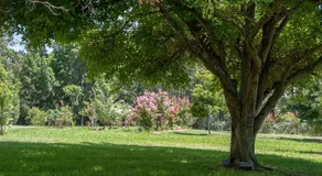 Mary MacKillop Centre Baulkham Hills  - Image 5