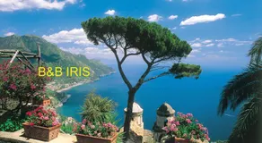 B&B Iris - Image 4