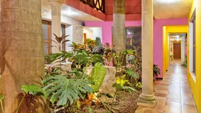 Casa Aura Hotel, Mérida  - Image 2