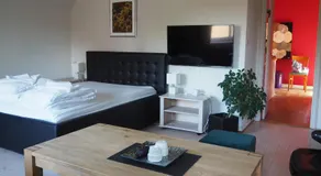 Spacious midttown apartment - Image 2