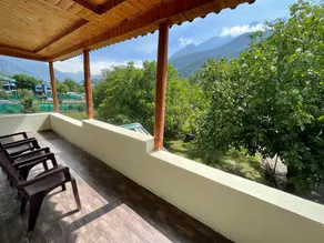 Walnut Tree Pahalgam - Image 4
