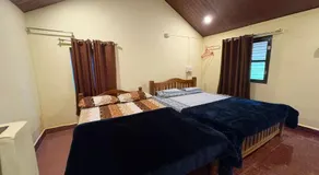 Areca Nest - Image 2