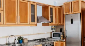 Green House - Image 3