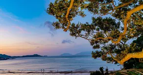 Qingchen Seaview Designer Holiday Meisu (Zhoushan Zhujiajian Zhangzhouwan Branch) - Image 3