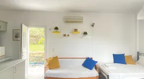 Andros Vineyard house with sea view - Image 2