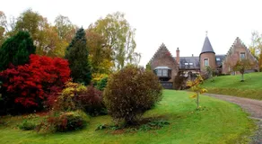 Highland Bear Lodge & Woodland Bear Huts - Image 3
