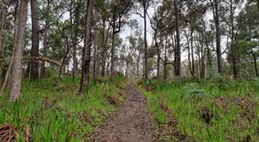 Rose Cottage Nannup - Image 5