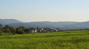 Regina Viarum - Image 5