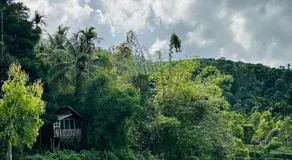 Hill wood nature touch resort - Image 2