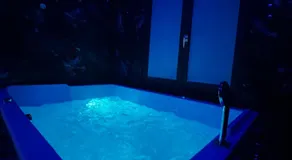 Bohème & Jacuzzi - Image 3