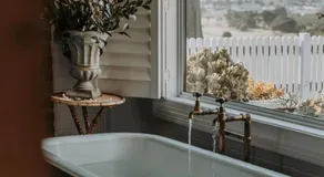 Borradale Stanley - Image 3