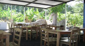 El Mirador Ecológico, Ometepe - Image 3
