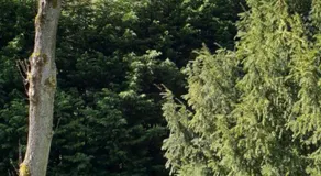 Just for sleep - Image 4