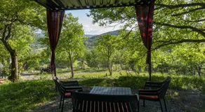 Pinehouse Urtkhva in Surami - Image 2