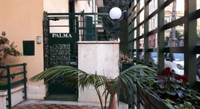 Palma - Image 4