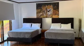 ZEUS GUEST HOUSE & CAR RENTAL- Free SJO Airport Shuttle-NATIONWIDE PRÍVATE SHUTTLE SERVICE- zeusguesthouse com - Image 2
