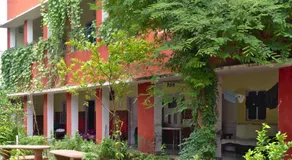 Jungle Lodge - Image 4