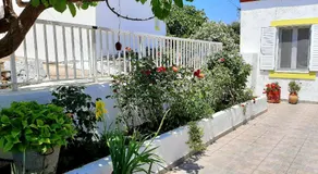Lemon Garden 2 - Image 4