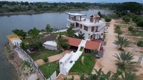 Habba Dates Village , Luxury 100 Acres Dates Farm Near Chikkaballapur - Image 5