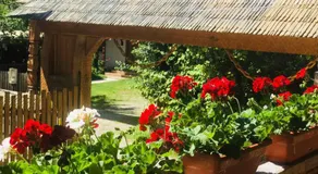 Pensiunea La Domnița - Image 5