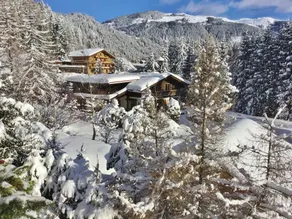 Unique and exclusively furnished chalet near the ski lift - Image 5
