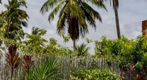 Casa Vilas Patacho Garden - Image 4