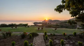 Sunset Hotel - Image 4