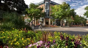 Cozy Carriage House - Walk to UNC + Free Bikes - Image 3