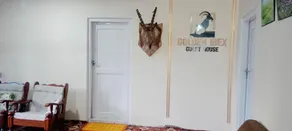 GOLDEN IBEX SKARDUu - Image 2