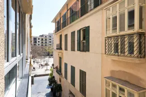 Picasso Premium - Image 3