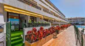 BuenaVista Sunflower Apartment in Playa La Arena - Image 3