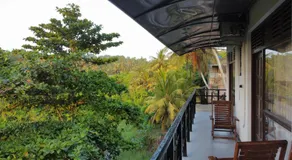 Mango Shade - Image 3