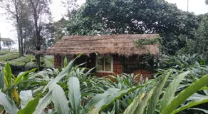 Vaga cardamom couple stay vagamon - Image 1