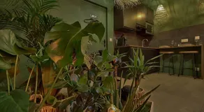 Welcome to Panama Jungle/Jacuzzi - Image 3