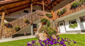 Wanderreithof Heimelsteiner - Image 3