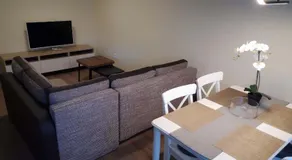 Pine Cone Apartment - Image 2