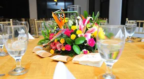 Hotel Campestre - Image 5