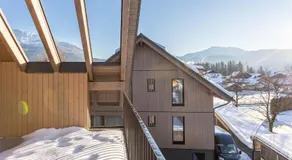 Alpine Suite Spot - Image 4