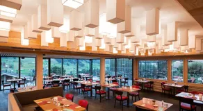 Adler Adelboden - Image 3