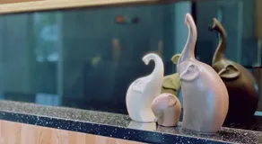 駐圓環 - Image 4