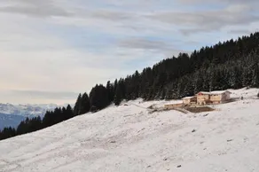 Malga Stramaiolo - Image 3