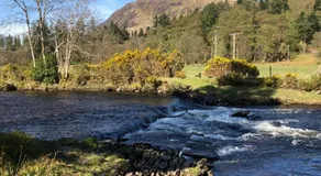 Pucks Glen Lodges - Log Cabins in a wonderful natural environment - Image 4