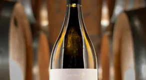 Enoturismo Celler Piñol - Image 5
