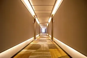 Jinjiang Hotel (Dacheng Hongmu City Government) - Image 4