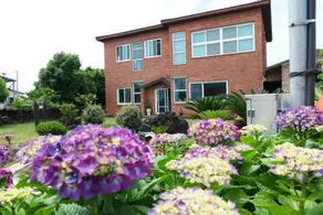 Jeju Ophirhouse Pension - Image 5
