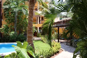 Hotel Bosque Caribe, 5th Av. Zone - Image 4