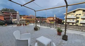 la gatta bianca - Image 5