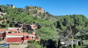 Naturaleza en el pantano de San Juan - Image 4