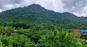 Baan Khaoyai by Chateau - Image 4